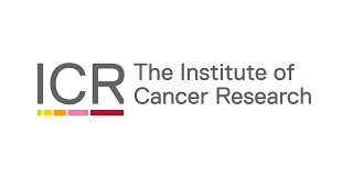 https://oraclehnc.org.uk/wp-content/uploads/2019/01/The-Institute-Cancer-research-logo.png